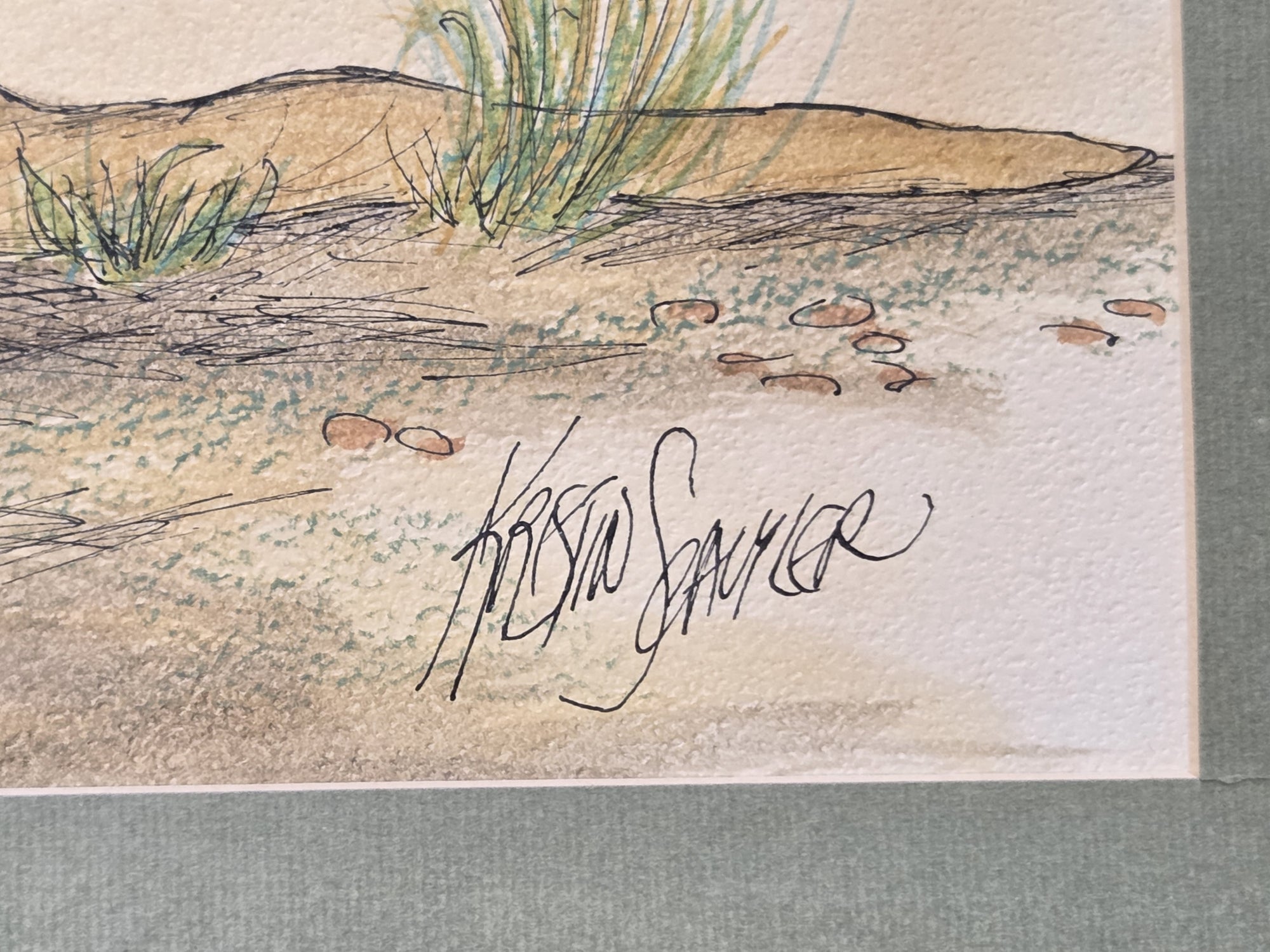 KRISTIN SCHUYLER  KANGAROO ILLUSTRATION IN COLOR