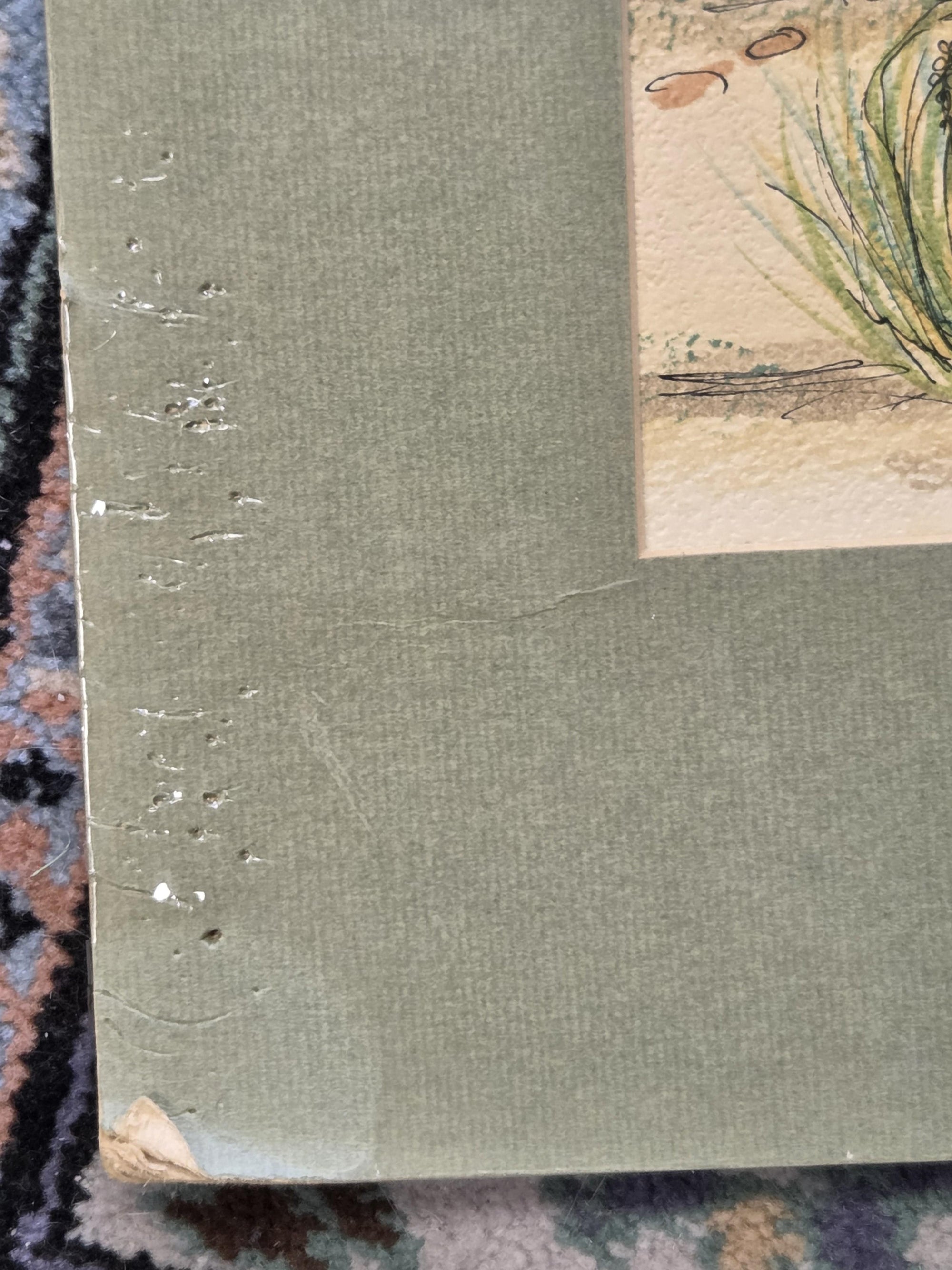 KRISTIN SCHUYLER  KANGAROO ILLUSTRATION IN COLOR