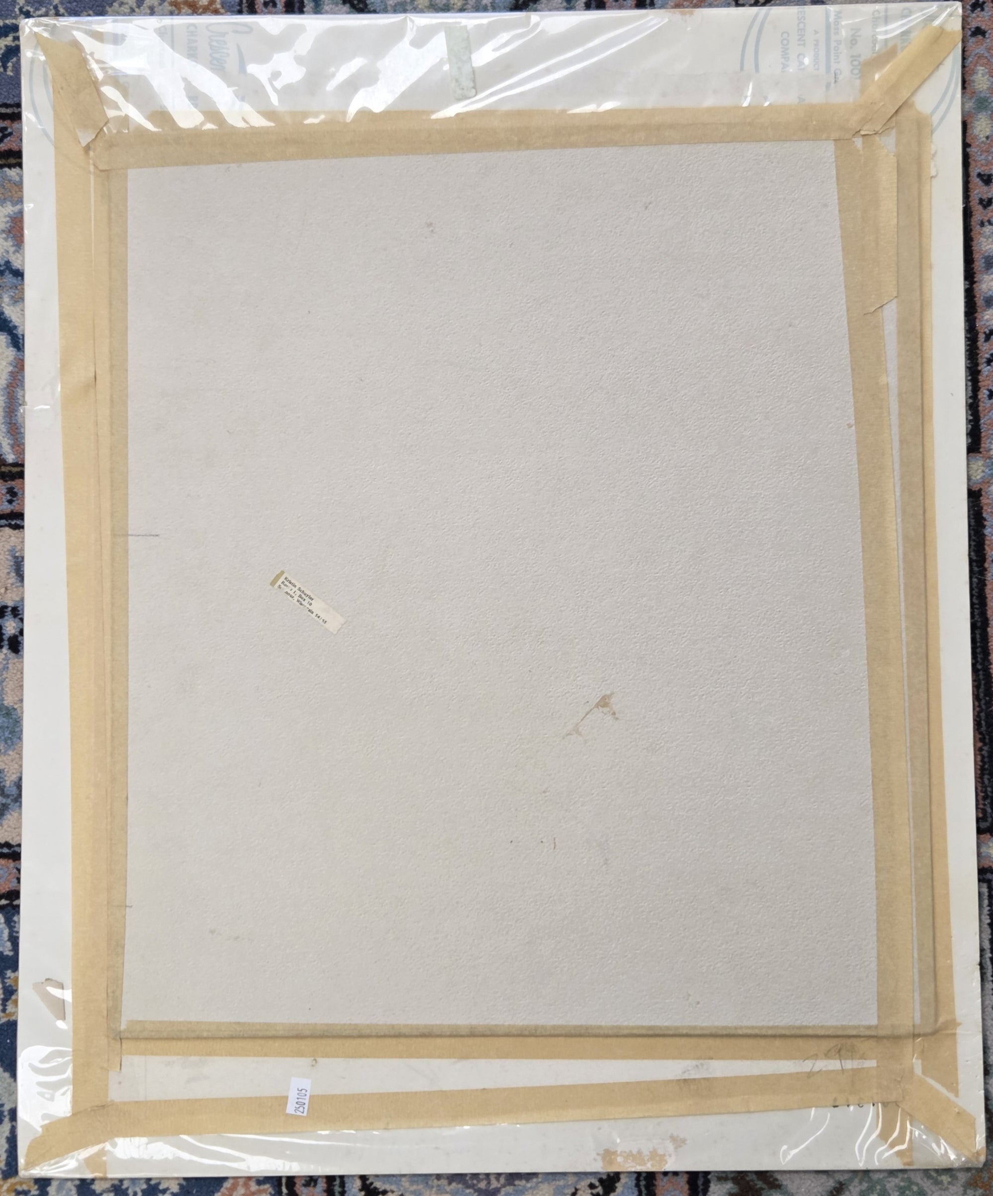 KRISTIN SCHUYLER  KANGAROO ILLUSTRATION IN COLOR