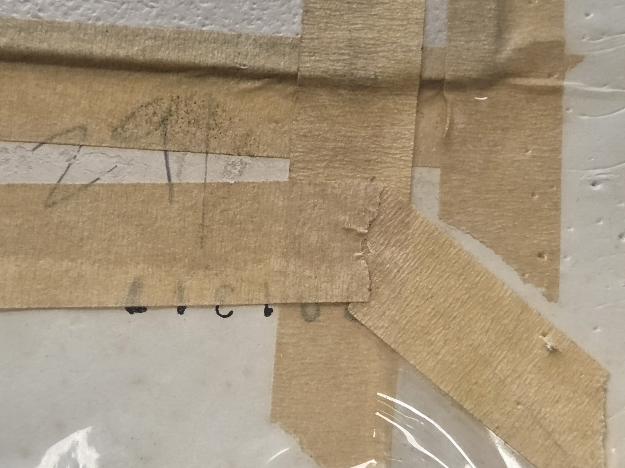 KRISTIN SCHUYLER  KANGAROO ILLUSTRATION IN COLOR