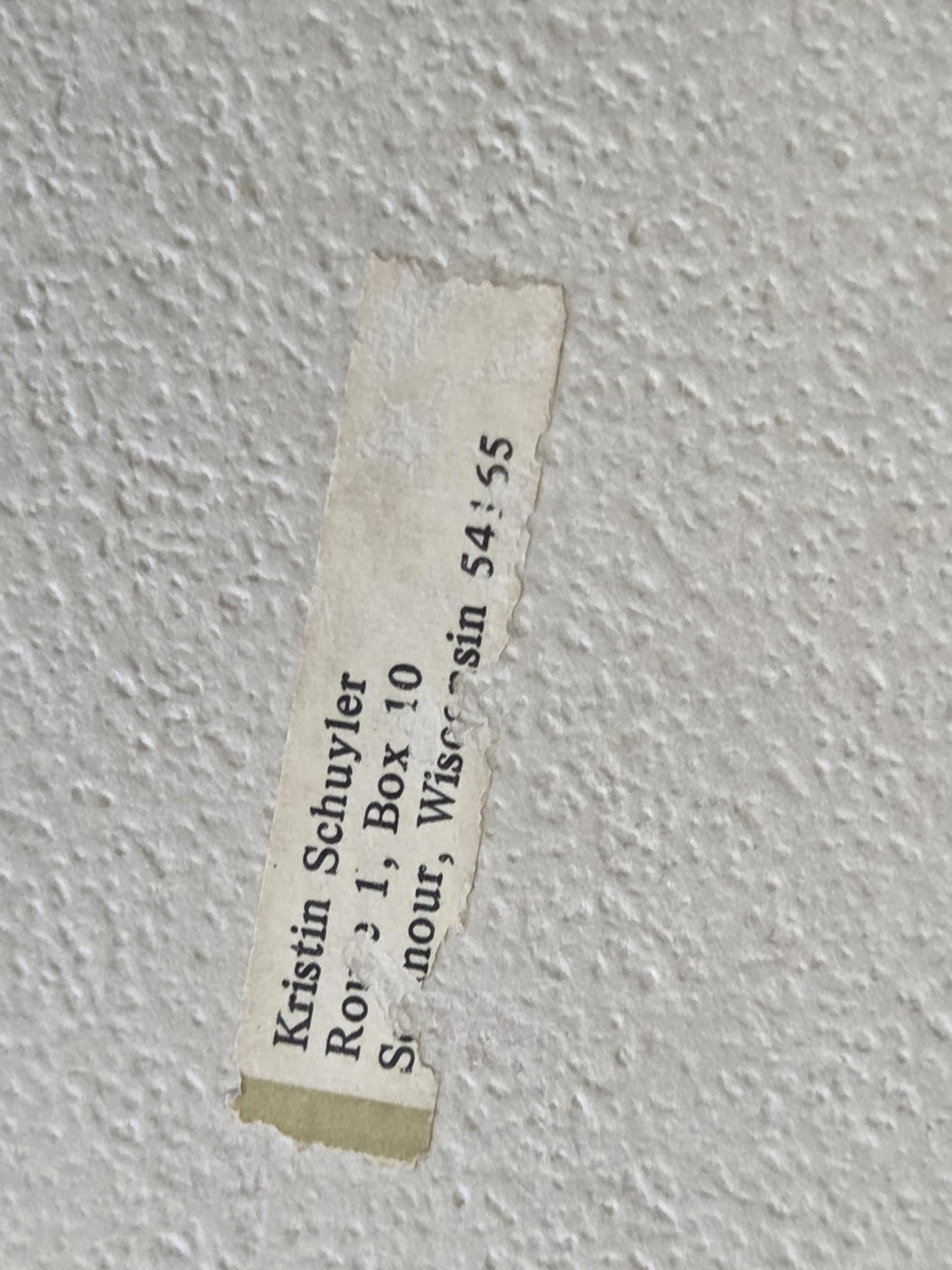 KRISTIN SCHUYLER  KANGAROO ILLUSTRATION IN COLOR