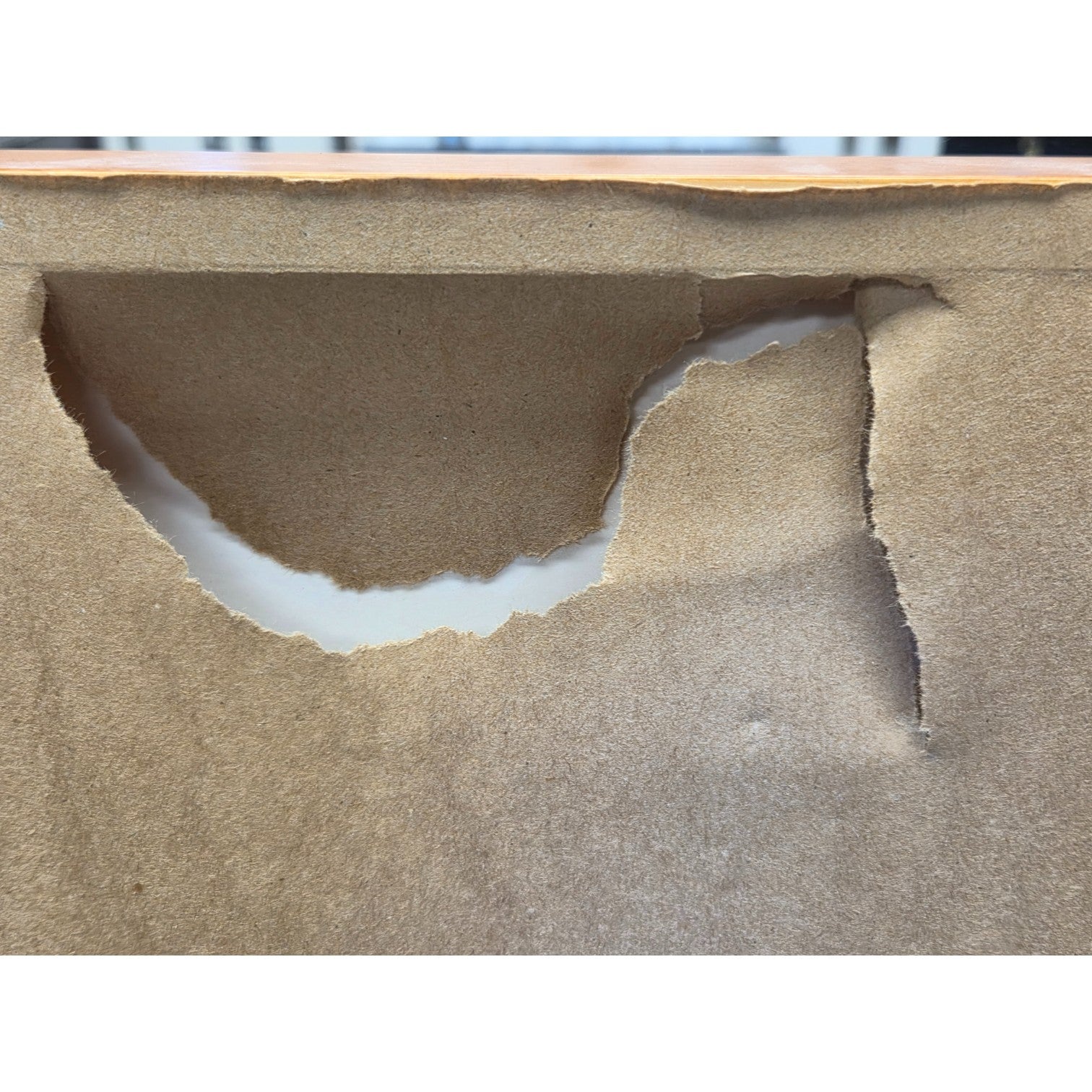 DEAN MEEKER "ESTHER" L.E. PRINT ON PAPER