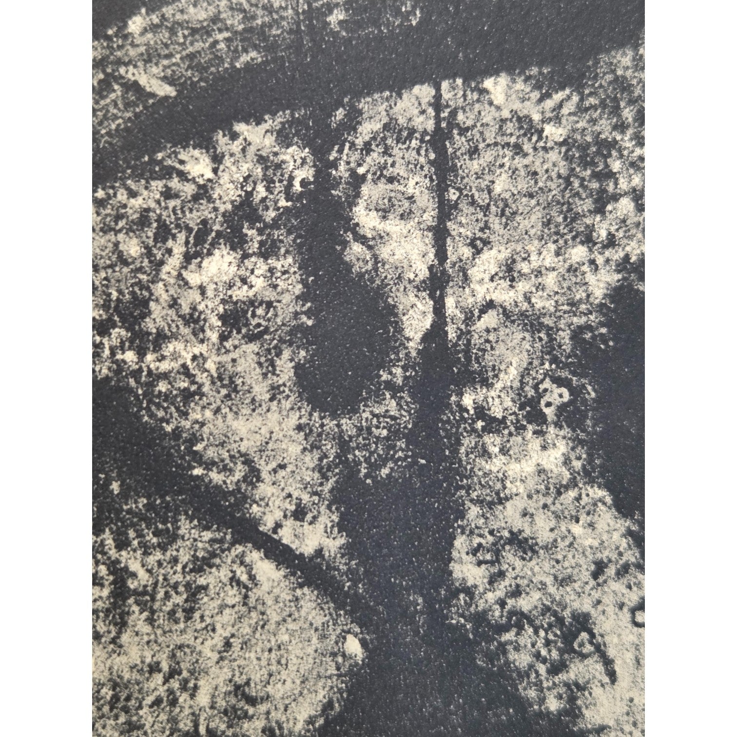 MIRO, J. QUELQUES FLEURS POUR DES AMIS LTD ED LITHOGRAPH